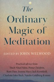 The Ordinary Magic of Meditation cover image