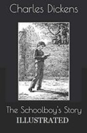 The Schoolboy's Story Illustrated cover image