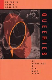 Queeries: An Anthology of Gay Male Prose cover image