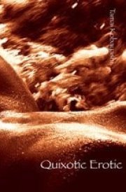 Quixotic Erotic cover image