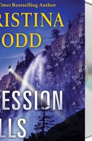 Obsession Falls: A Novel (The Virtue Falls Series, 2) cover image