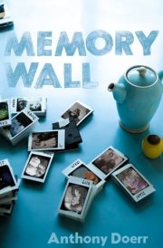 Memory Wall cover image