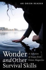 Wonder and Other Survival Skills A Selection of Essays from Orion Magazine cover image