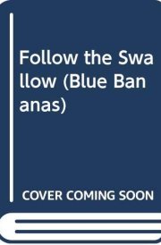 Follow the Swallow cover image