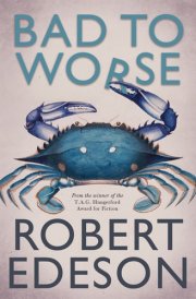 Bad to Worse cover image