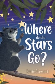 Where Do the Stars Go? cover image