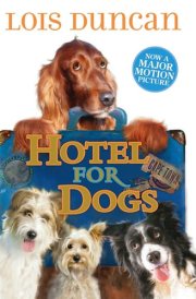 News for Dogs cover image