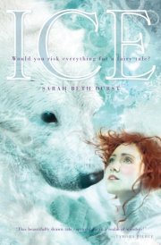 Ice cover image