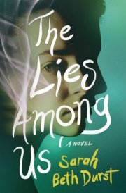 The Lies Among Us A Novel cover image