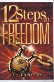 12 Steps to Freedom cover image