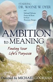 Ambition to Meaning Finding Your Life's Purpose cover image