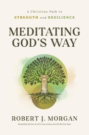 Meditating God's Way A Christian Path to Strength and Resilience cover image