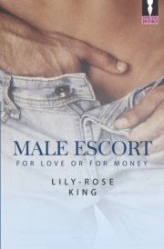 Male Escort: For love or for money cover image