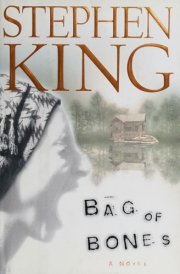 Bag of Bones cover image