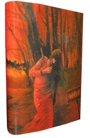 STEPHEN KING NEW COVER SERIES No. 12 cover image