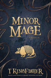 Minor Mage cover image