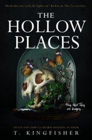 The Hollow Places cover image