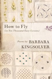 How to Fly (in Ten Thousand Easy Lessons) cover image