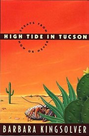 High Tide in Tucson Essays from Now Or Never cover image