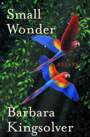Small Wonder cover image