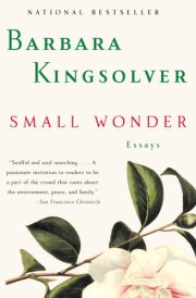 Small Wonder Essays cover image