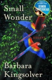 Small Wonder Author of Demon Copperhead, Winner of the Women's Prize for Fiction cover image