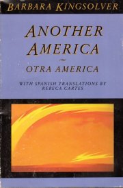 Another America cover image