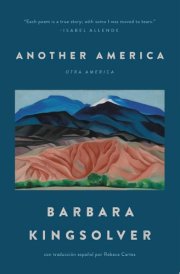 Another America/Otra America cover image