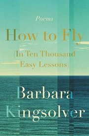 How to Fly in Ten Thousand Easy Lessons: Library Edition cover image