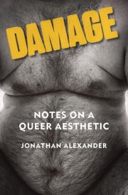 Damage - Notes on a Queer Aesthetic cover image