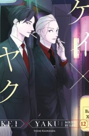 Kei X Yaku: Bound by Law 12 cover image