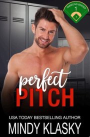 Perfect Pitch cover image