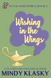Wishing in the Wings cover image