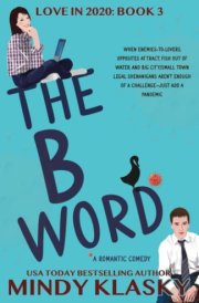 The B Word cover image