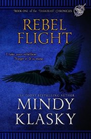 Rebel Flight Book 1 of Darkbeast Chronicles cover image