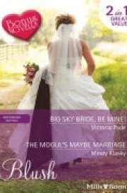 Big Sky Bride, Be Mine!/The Mogul's Maybe Marriage/Breaking News cover image