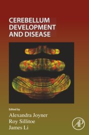 Cerebellum Development and Disease (Volume 167) (Current Topics in Developmental Biology, Volume 167) cover image