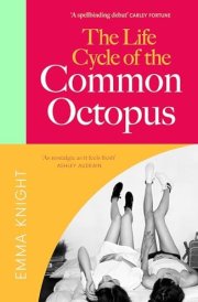 The Life Cycle of the Common Octopus A Novel cover image