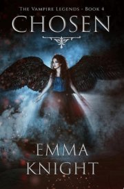 Chosen cover image