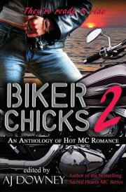 Biker Chicks Volume 2 cover image