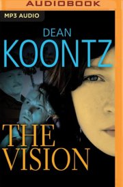 Vision, The cover image