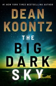 The Big Dark Sky cover image