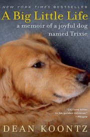 A Big Little Life cover image