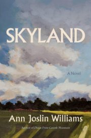Skyland: A Novel cover image
