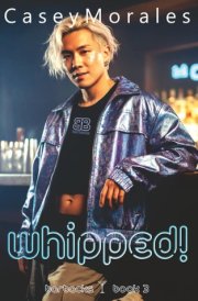 Whipped!: A fun, heartwarming mm contemporary romance (Barbacks) cover image