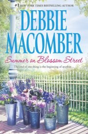 Summer on Blossom Street cover image