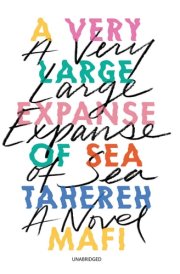 A Very Large Expanse of Sea Lib/E cover image