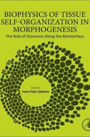 Biophysics of Tissue Self-Organization in Morphogenesis The Role of Dynamics Along the Biointerface cover image
