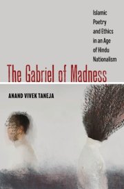 The Gabriel of Madness Islamic Poetry and Ethics in an Age of Hindu Nationalism cover image