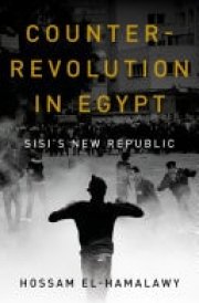 Counterrevolution in Egypt Sisi's New Republic cover image